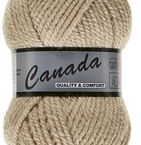 Lot de 500 grammes Canada de Lammy coloris 015 beige