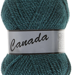 Lot de 500 grammes Canada de Lammy coloris 072 vert foncé