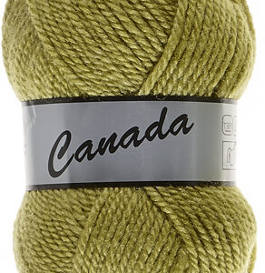Lot de 500 grammes Canada de Lammy coloris 271