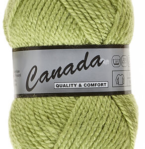Lot de 500 grammes Canada de Lammy coloris 277 vert pistache